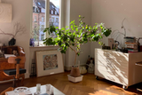 Décorer son salon avec originalité : guide complet et inspirations